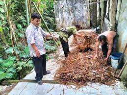 Energi Terbarukan dari Limbah Pertanian yang Ramah Lingkungan